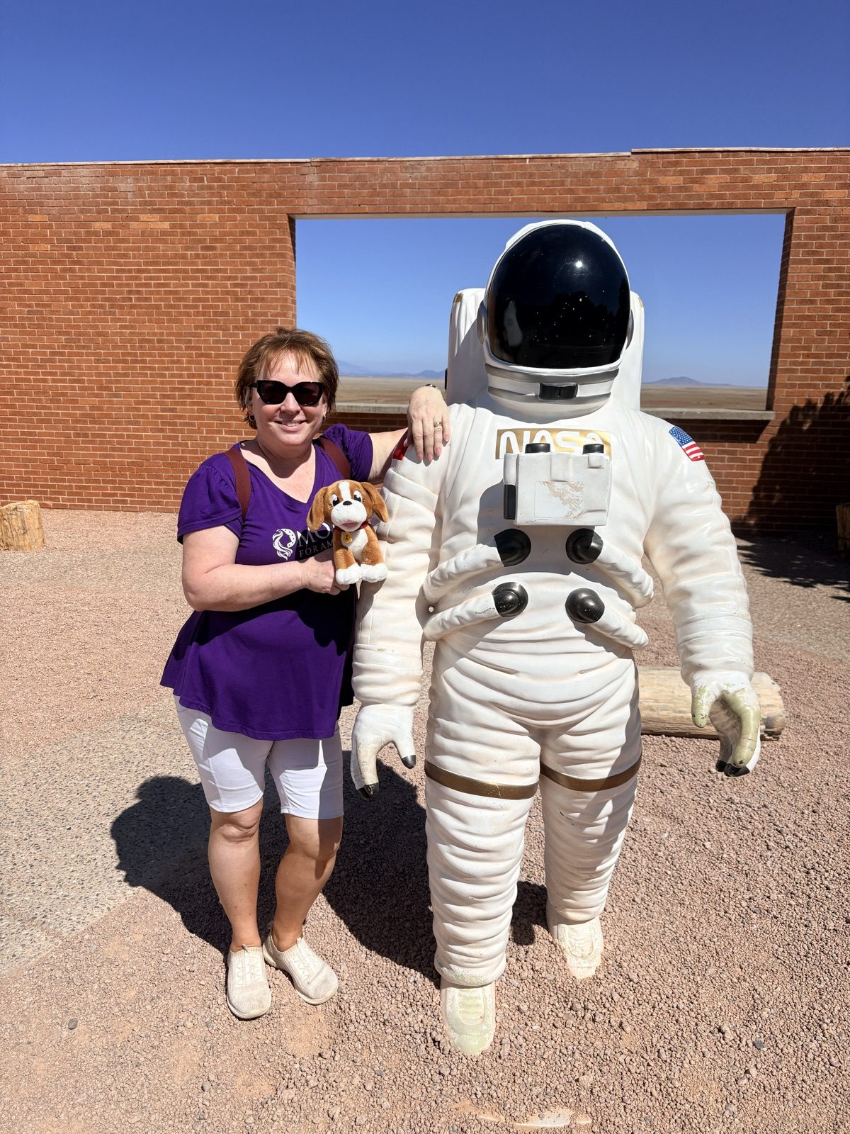 Meteor Crater · Arizona