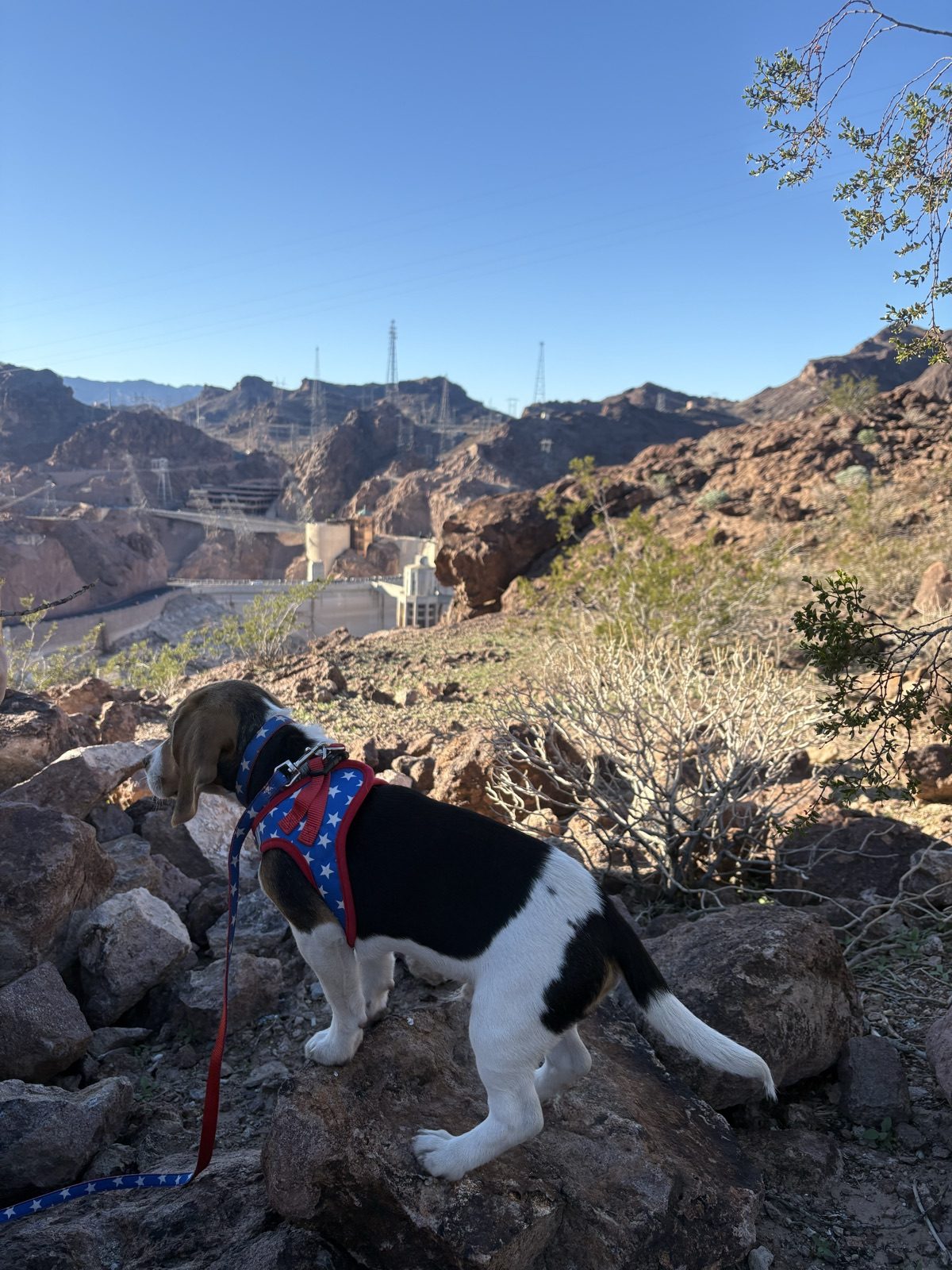 Hoover Dam · Nevada