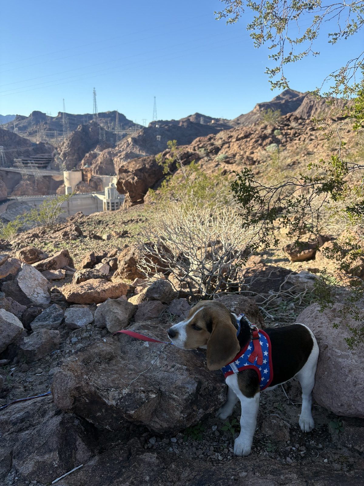 Hoover Dam · Nevada