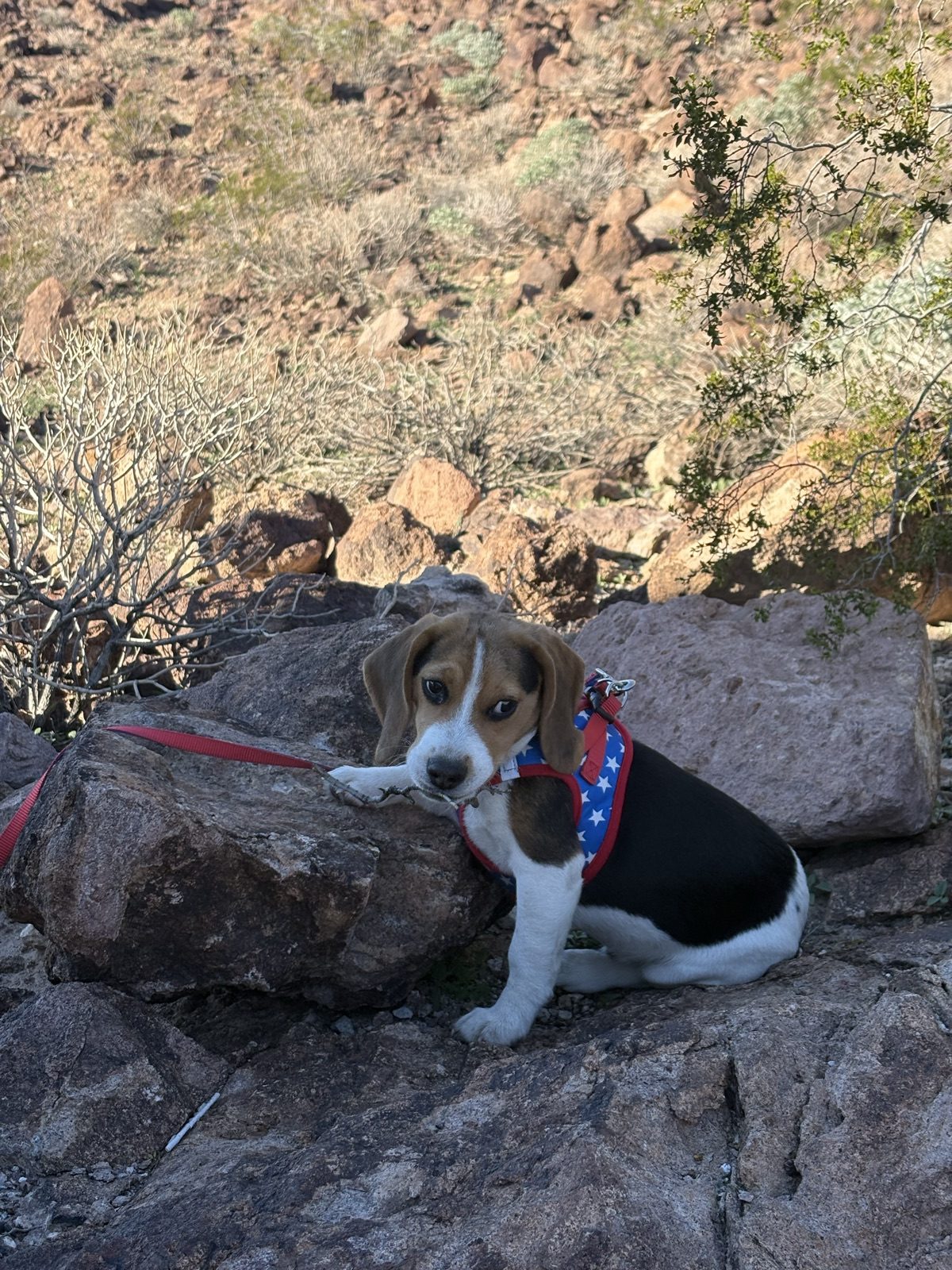 Hoover Dam · Nevada