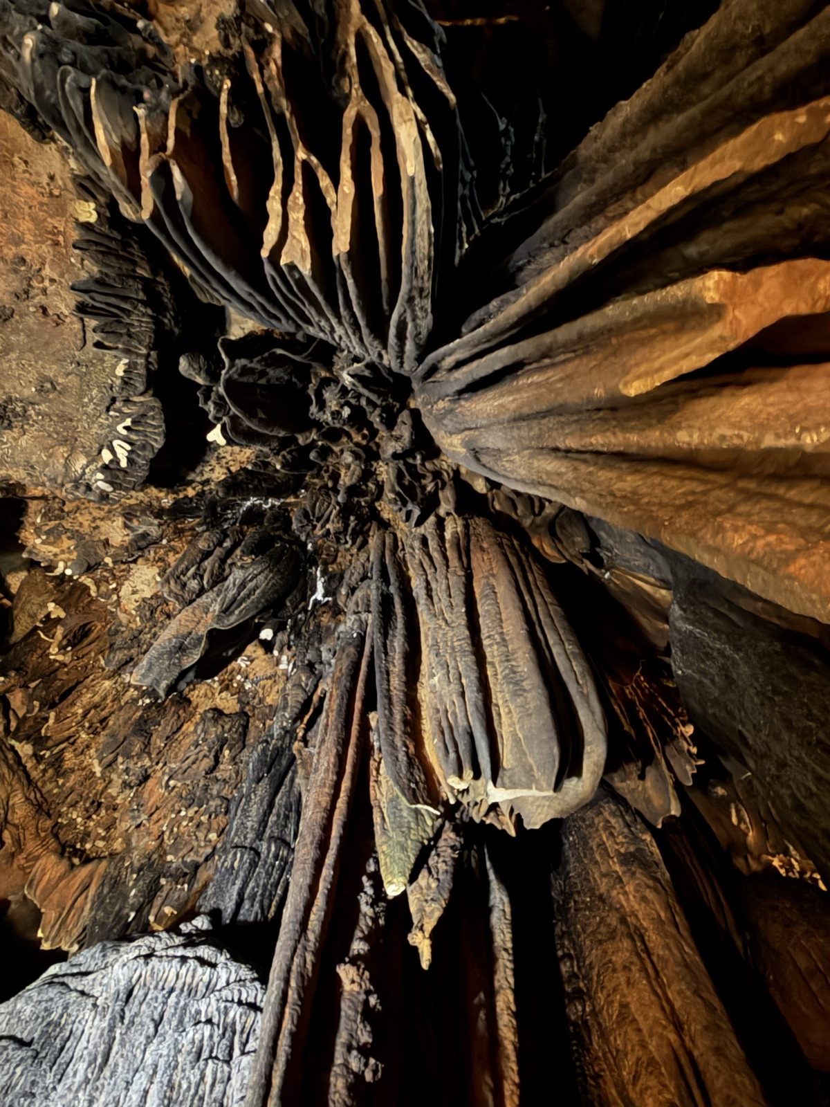 Majestic Caverns · Alabama