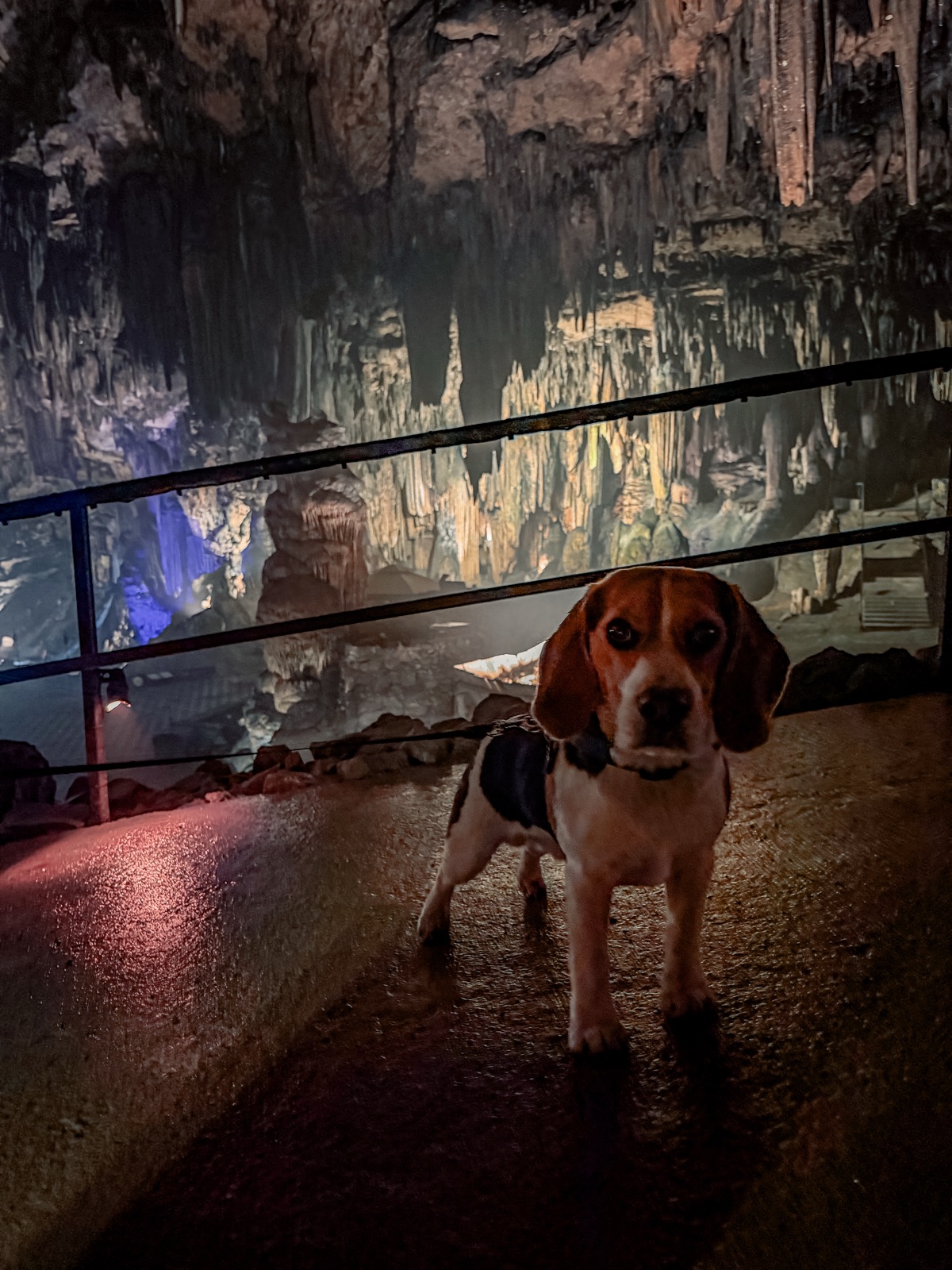 Majestic Caverns · Alabama