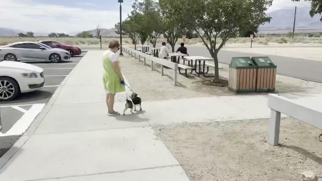 Film — Japanese Internment Memorial · California