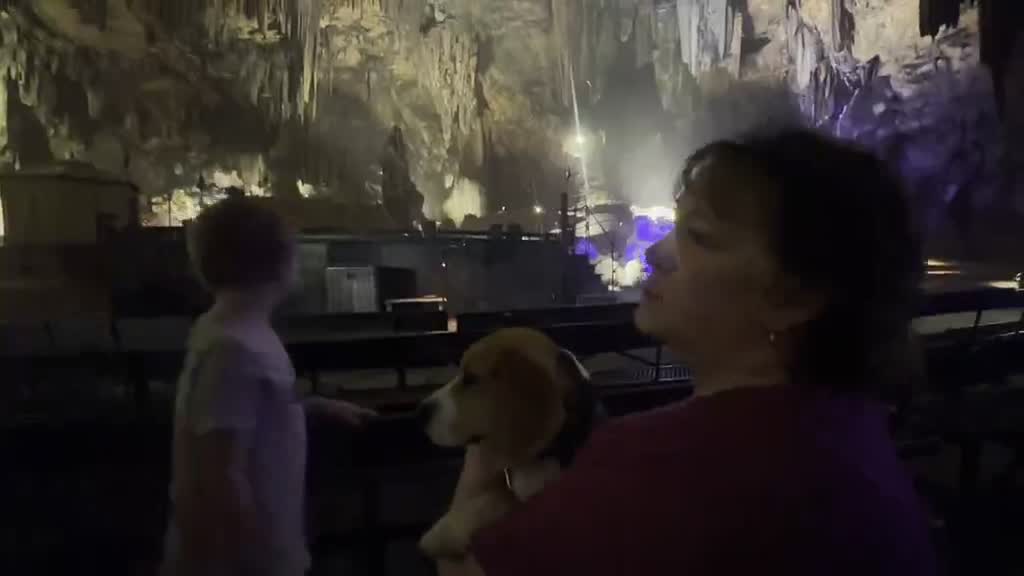 Film — Majestic Caverns · Alabama