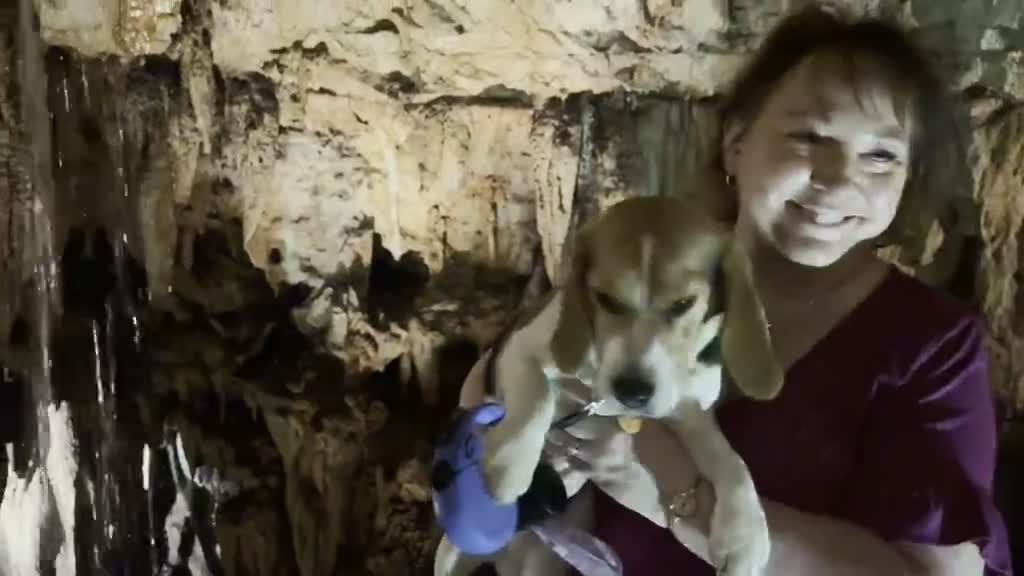 Film — Majestic Caverns · Alabama