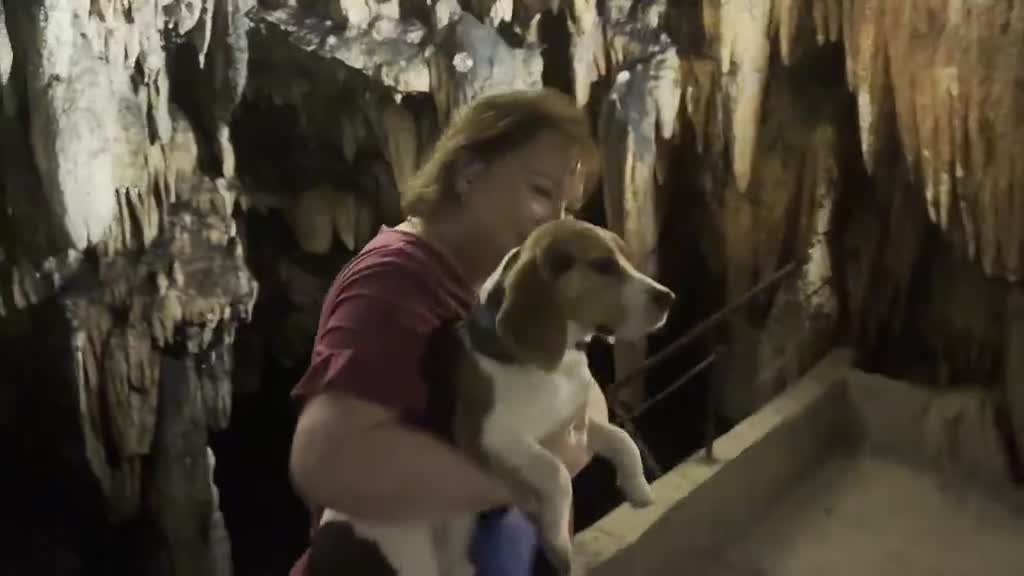 Film — Majestic Caverns · Alabama
