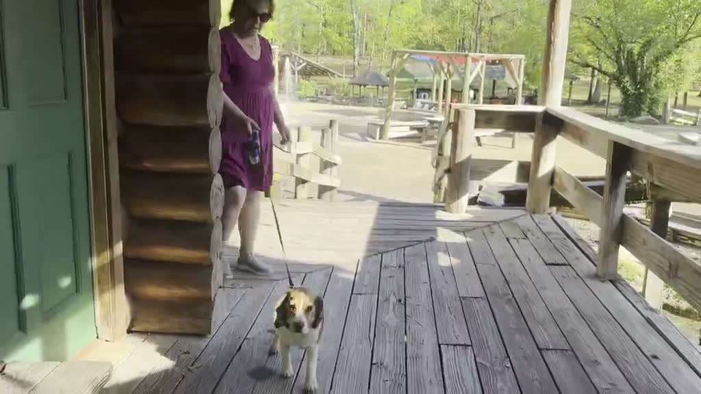 Film — Majestic Caverns · Alabama