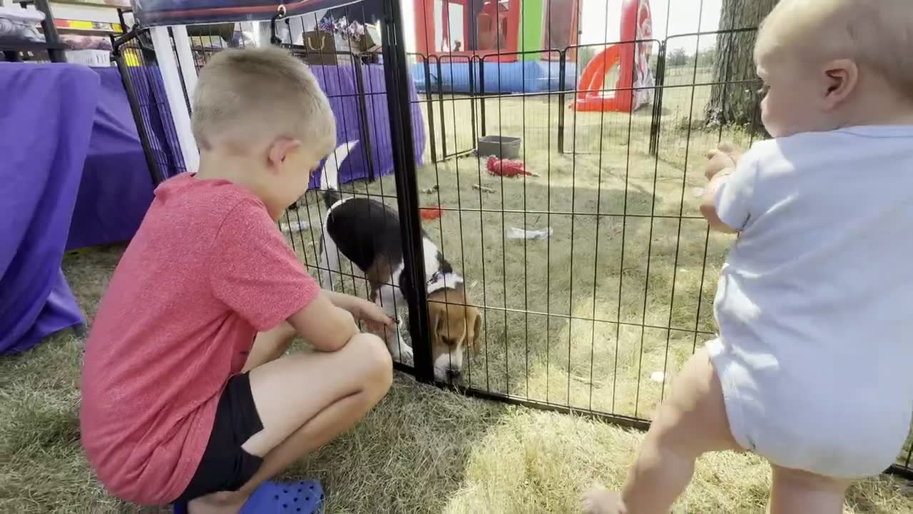 Film — Highlights